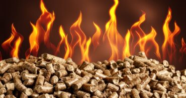 Biomassa: como calcular e saber o poder calorífico de queima?