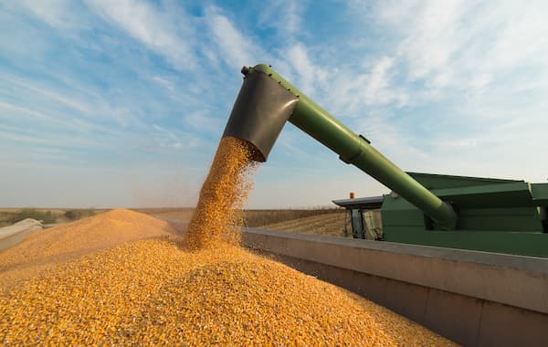 Agro: Prepare sua pós-colheita com a medição de umidade